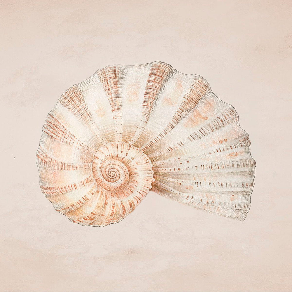 Aquatic Harmony III Wall Art