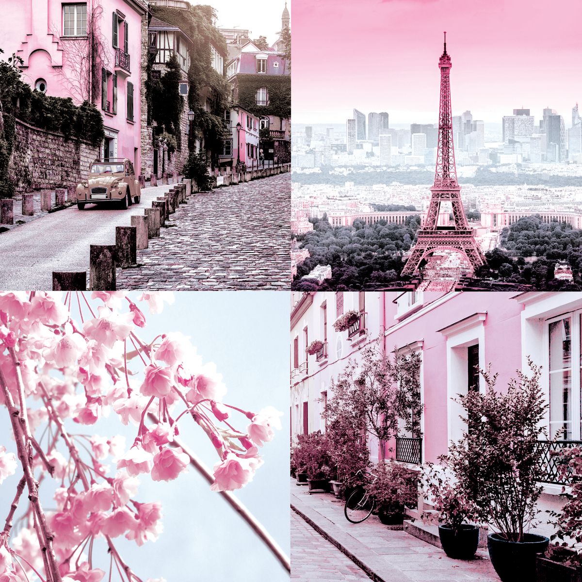 Pink Paris Pop II