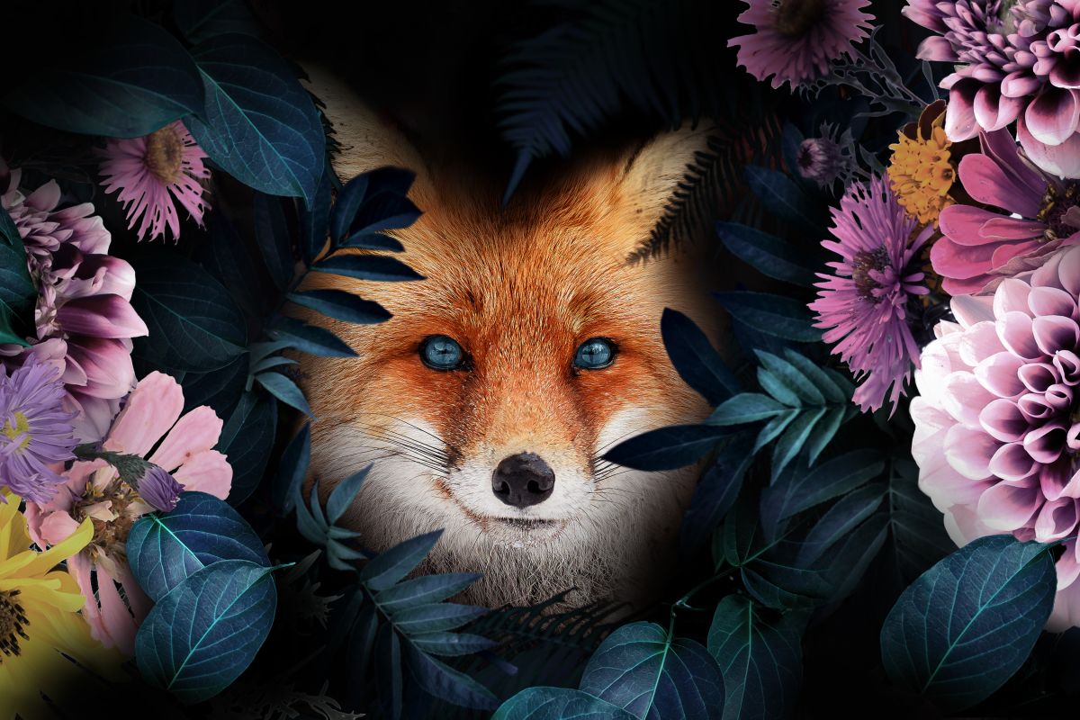 Floral Red Fox