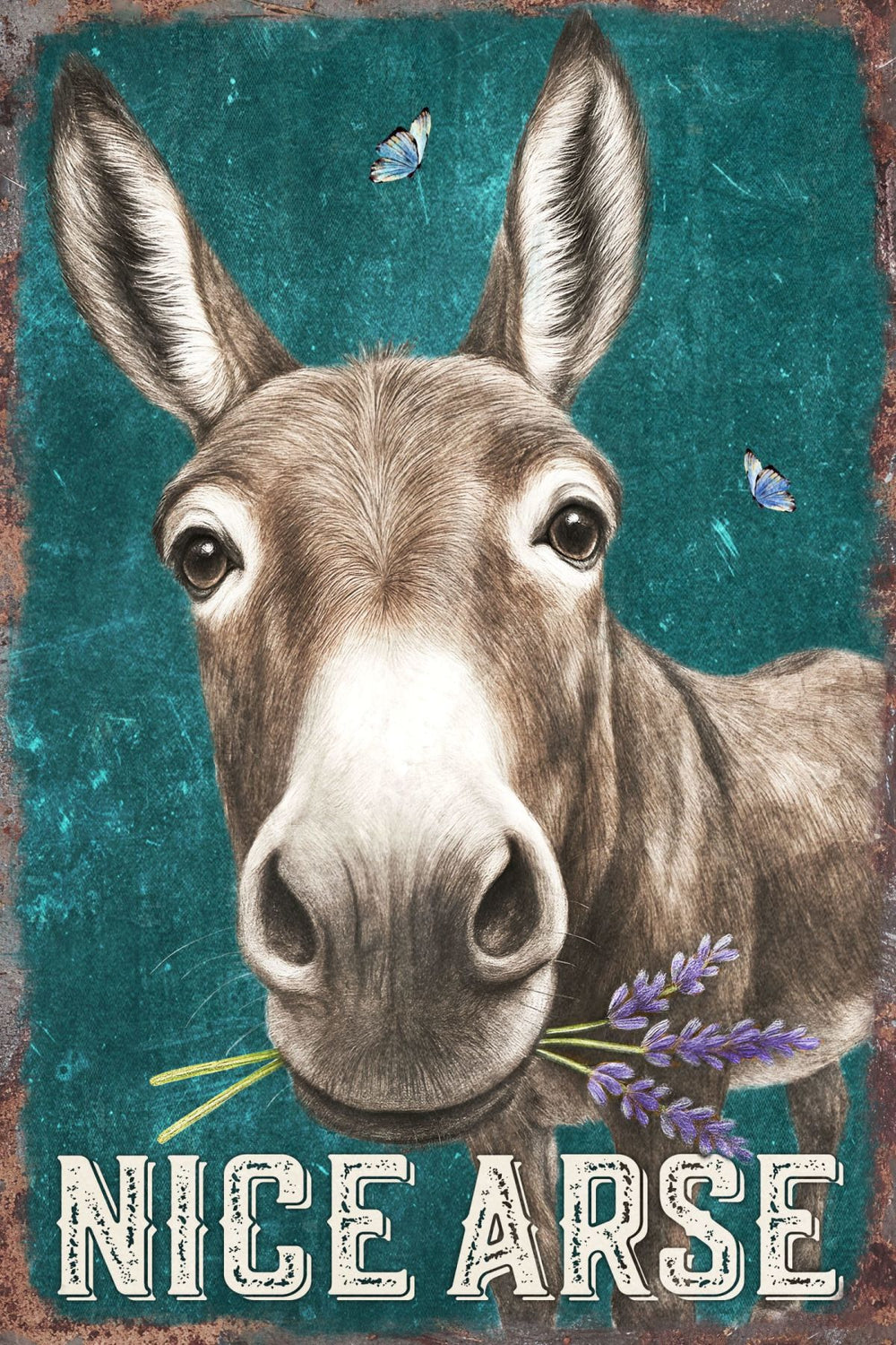 Funny Donkey