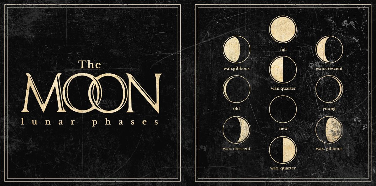The Moon Lunar Phases