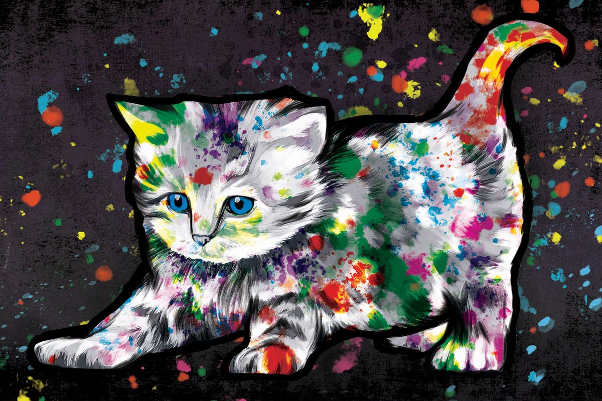 Kitten Color Splash Paint
