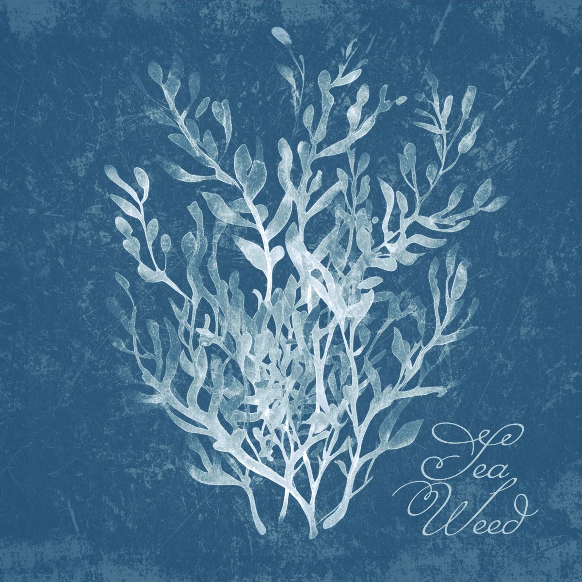 Seaweed On Blue Wall Art