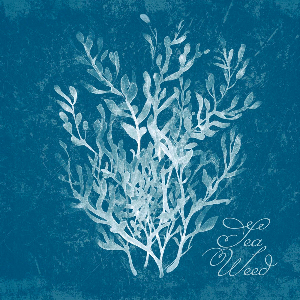 Seaweed On Blue