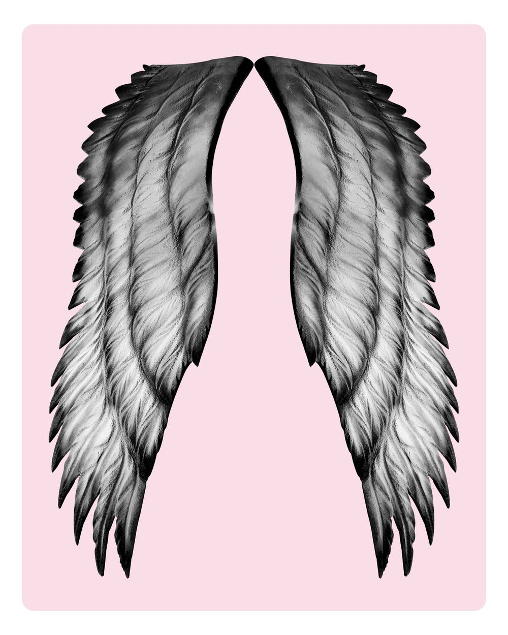 Gray Angel Wings