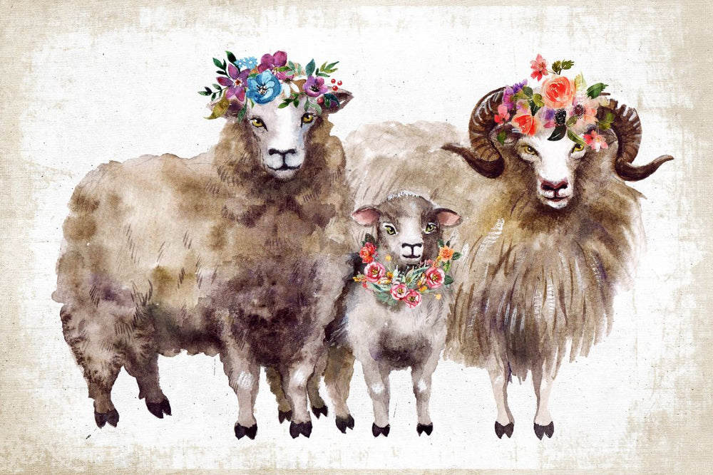 Floral Sheep Family