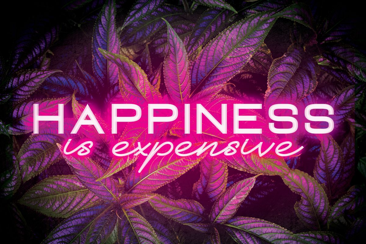 Happiness Is Expensive