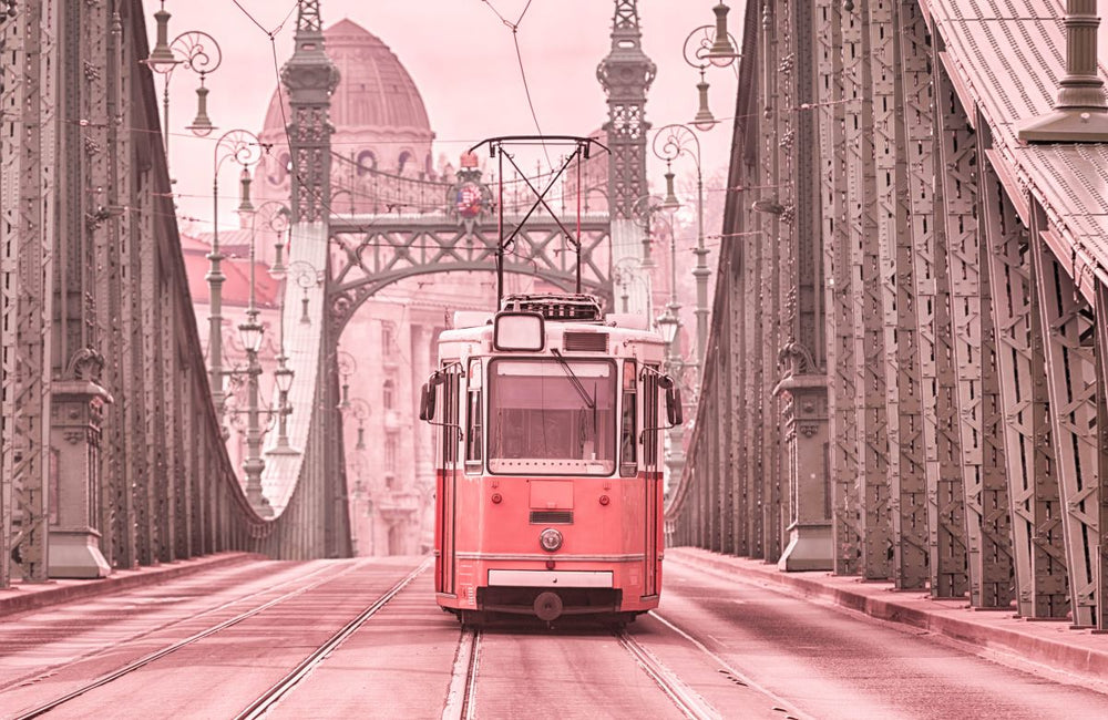 Pink Cable Car