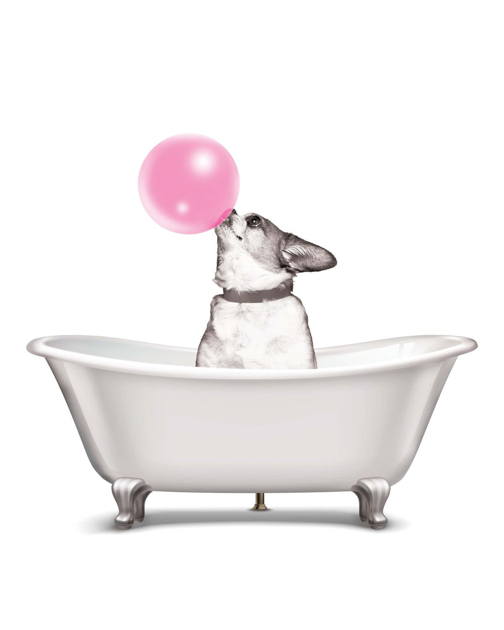 Bathtub Animal Dog Bubble Gum
