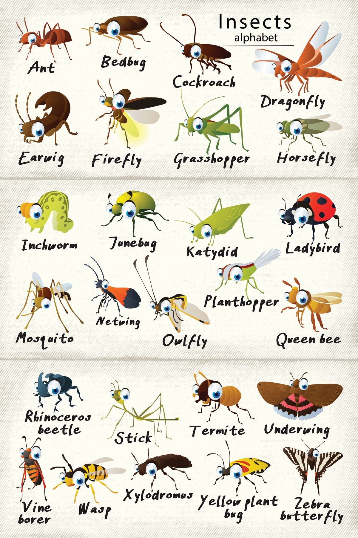 Insect Q Insects Alphabet Chart – Pineapple Licensing
