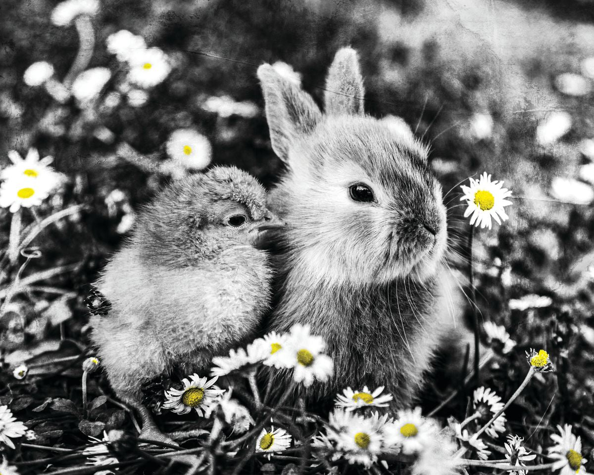 Chick And Rabbit In Flower Meadow Pop