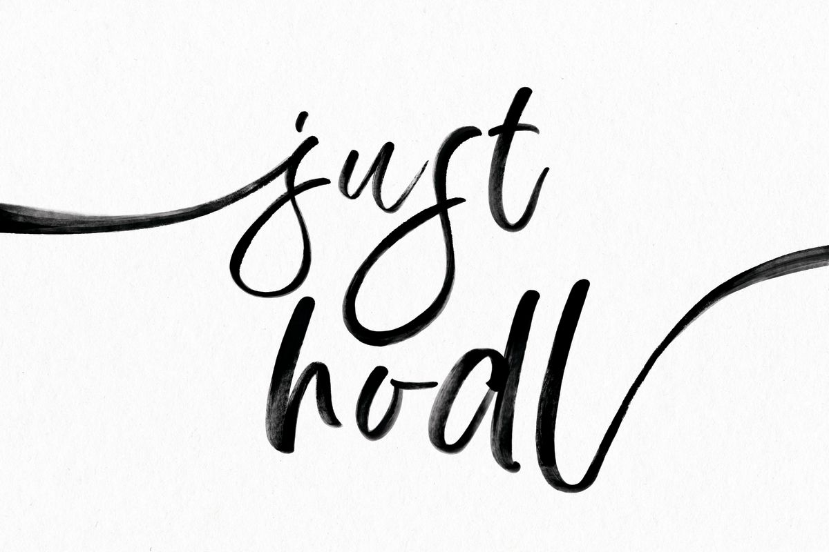 Just Hodl