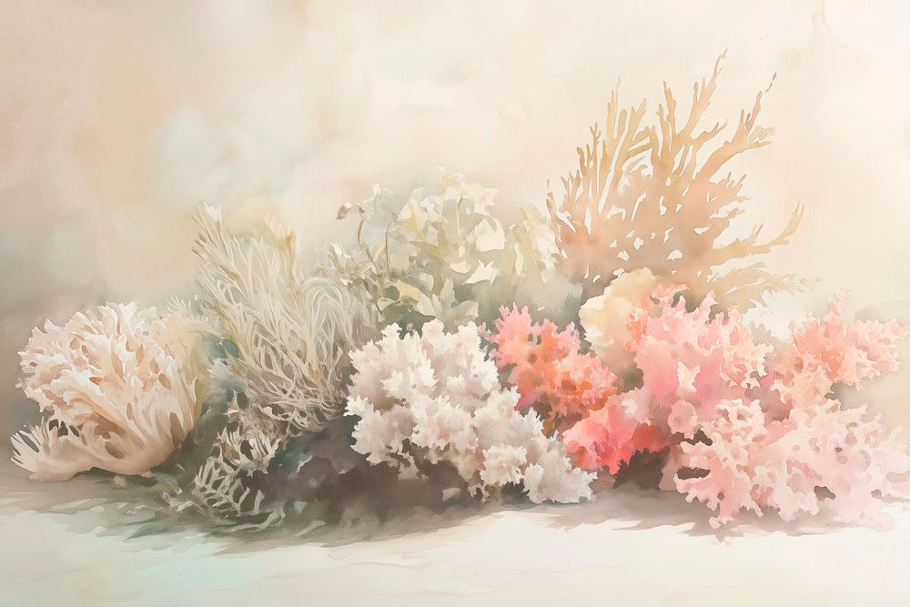 Corals Still Life