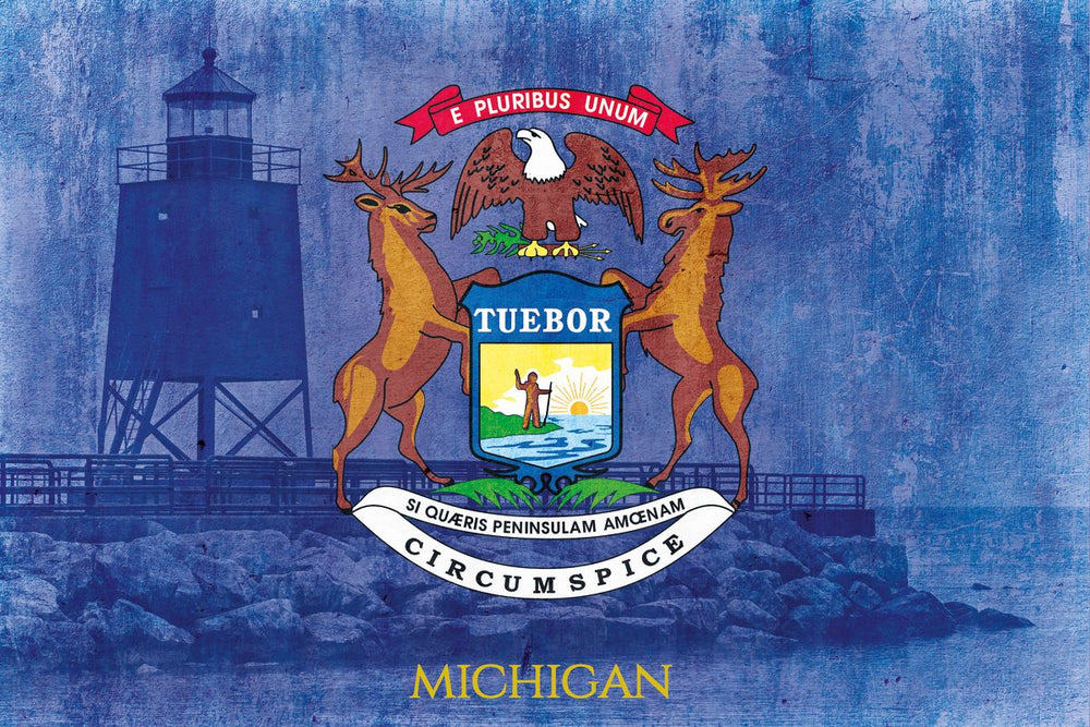 Flag Of Michigan