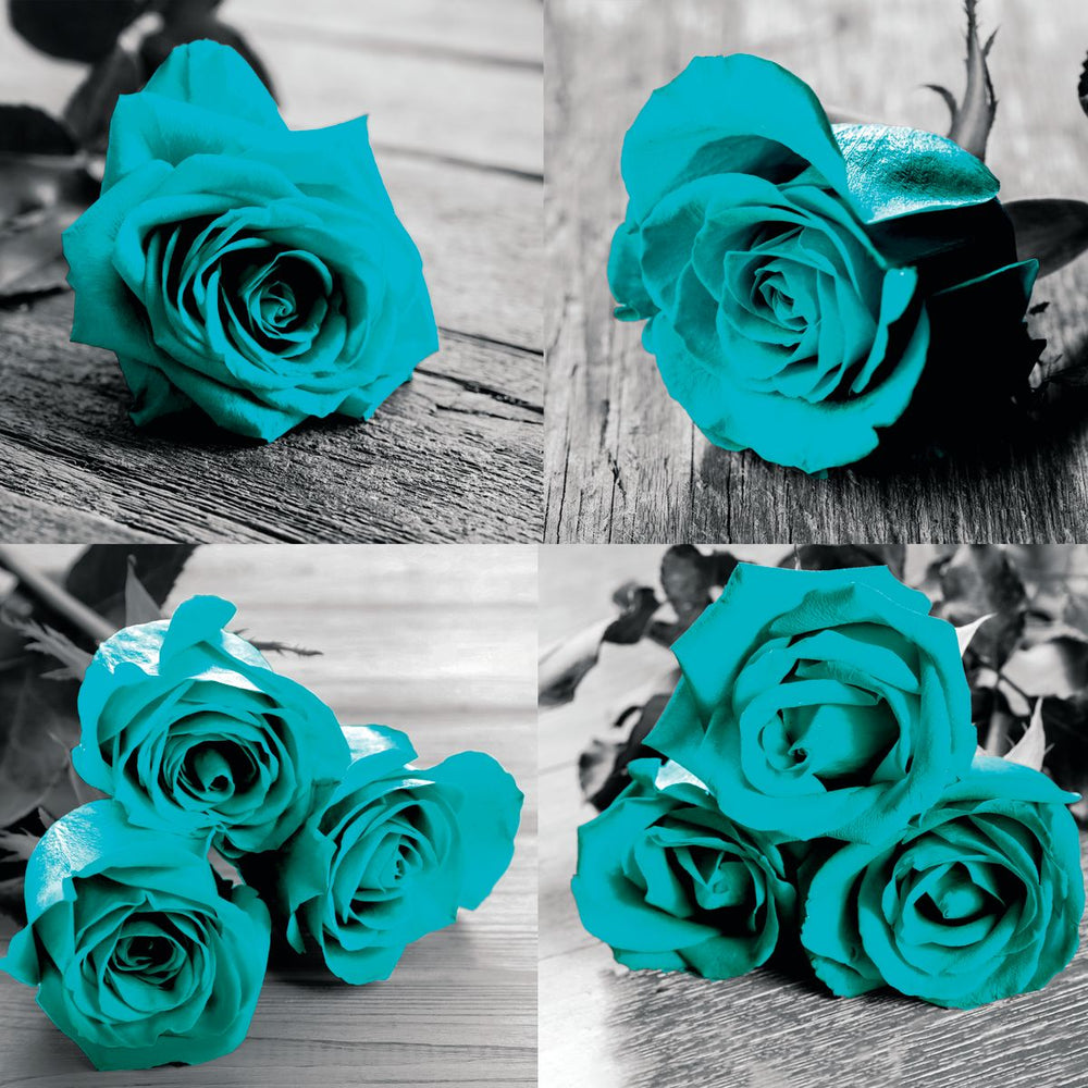 Turquoise Roses Pop Set