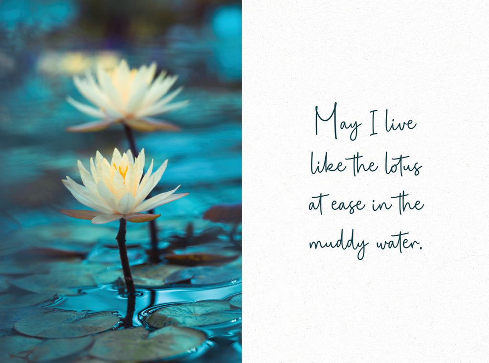 Live Like A Lotus Quote