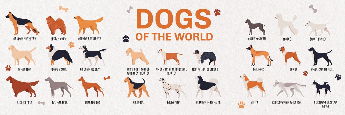 World Dogs Chart – Pineapple Licensing