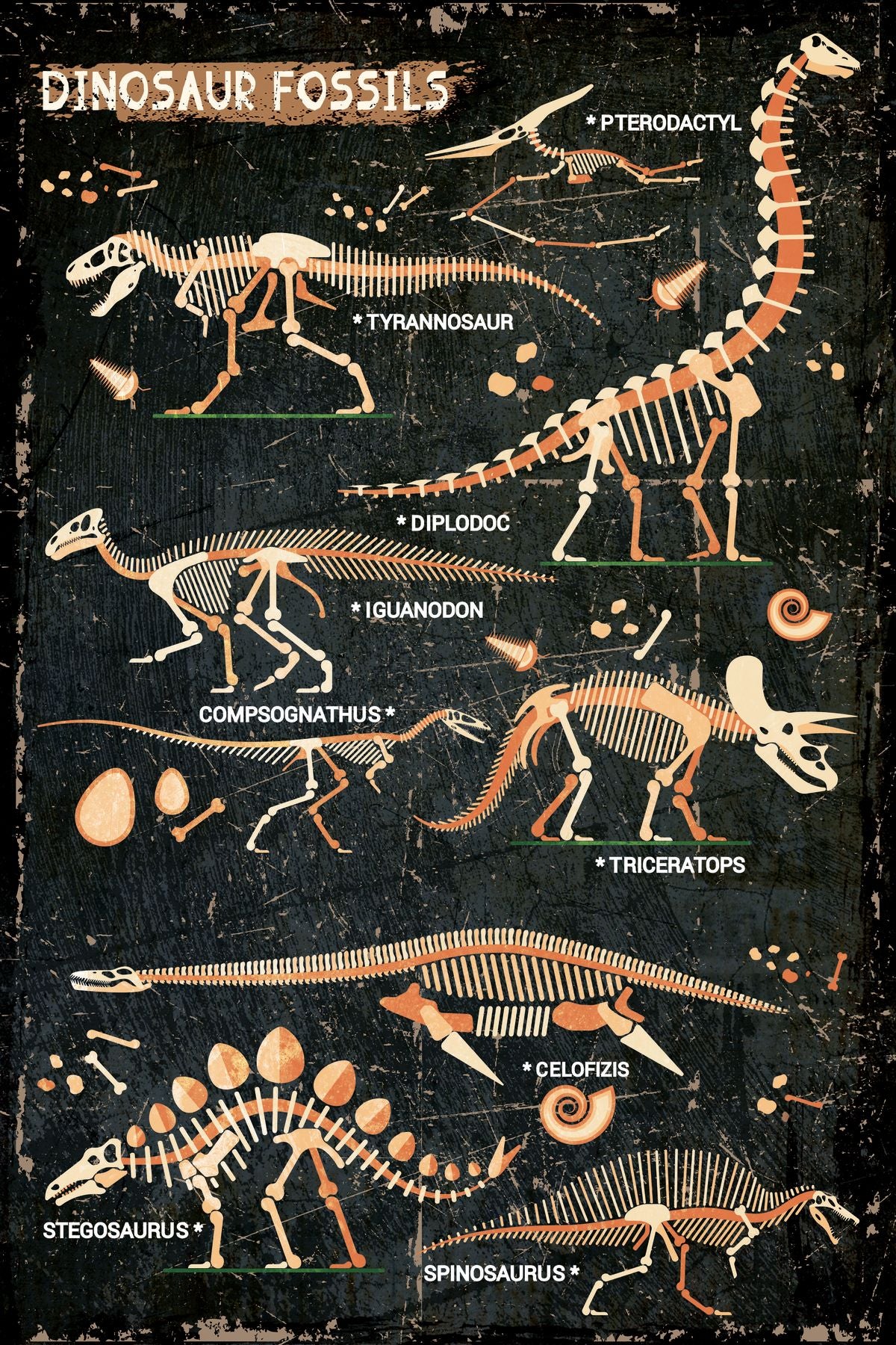 Dinosaur Fossils Chart