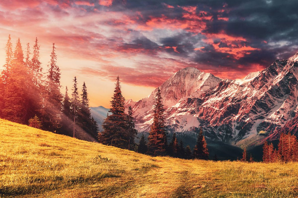 Alpine Highlands Sunset