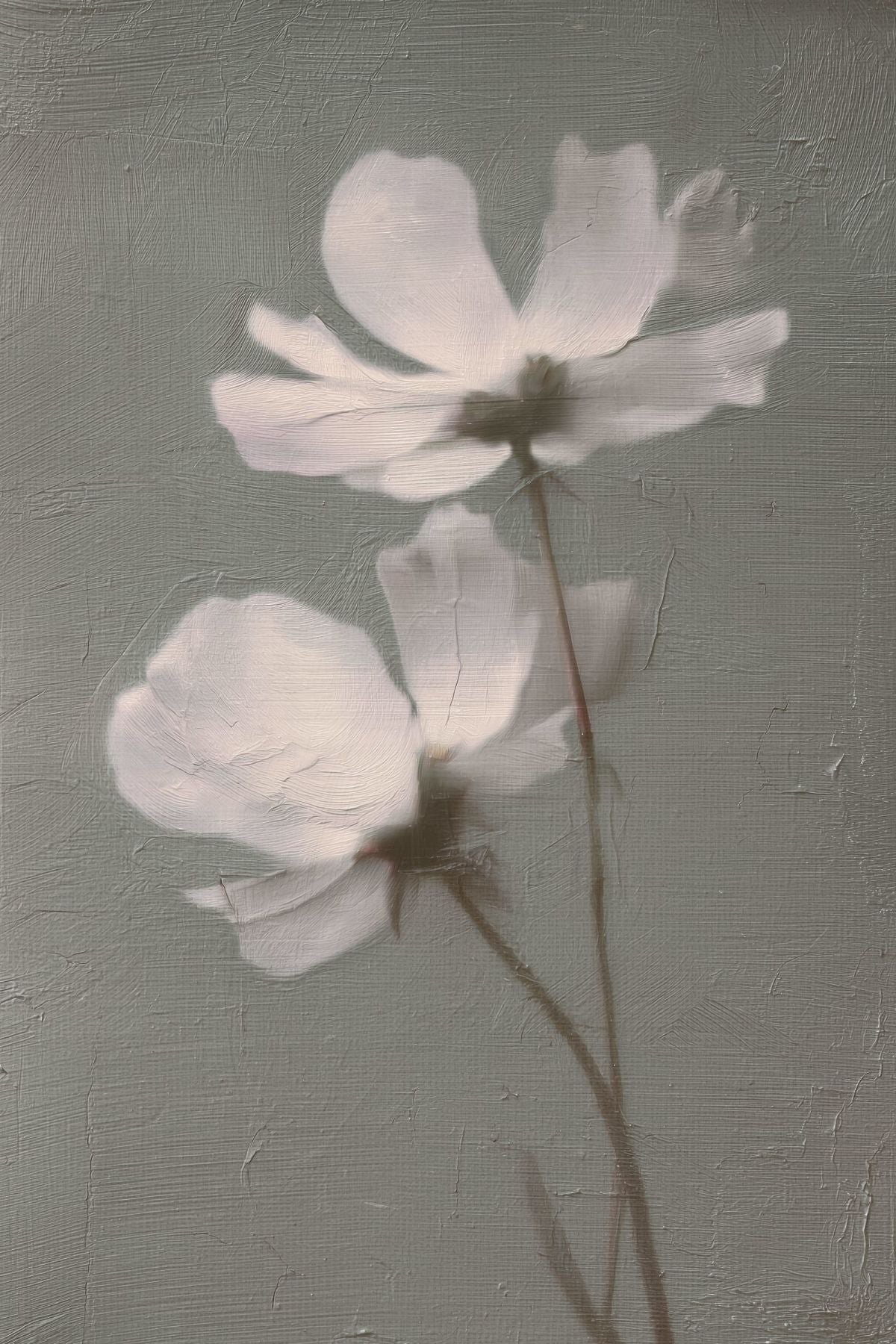 White Flowers In Soft Mist