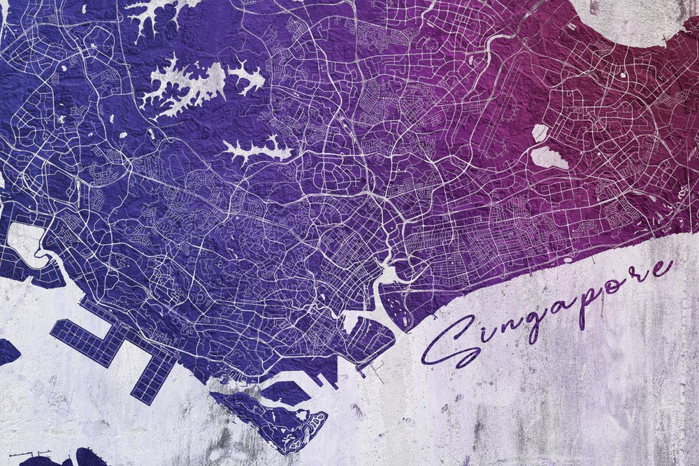 Multicolored Singapore City Map