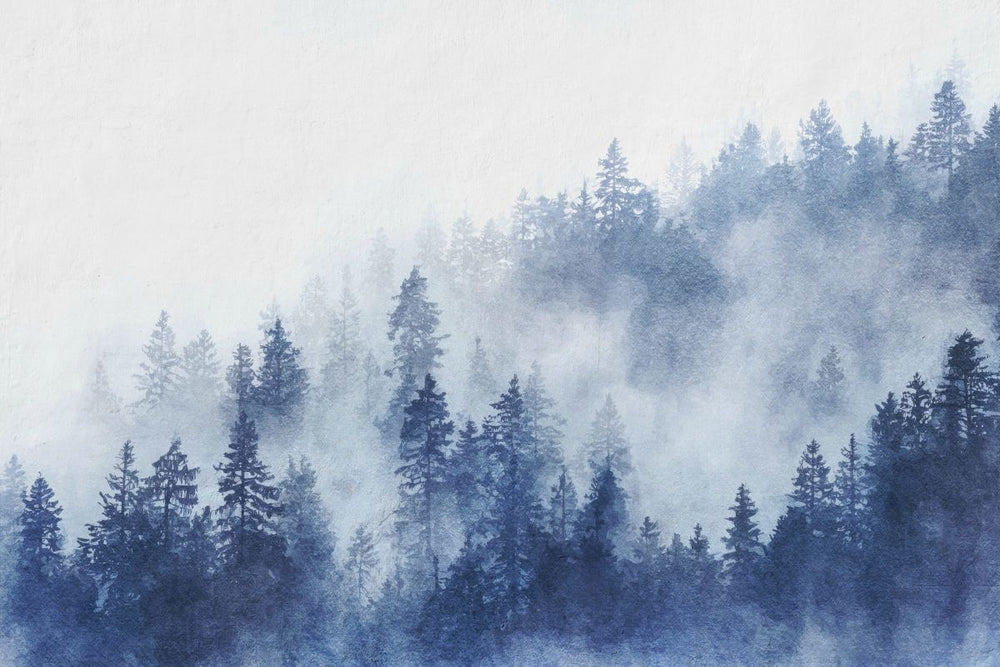 Foggy Pine Forest