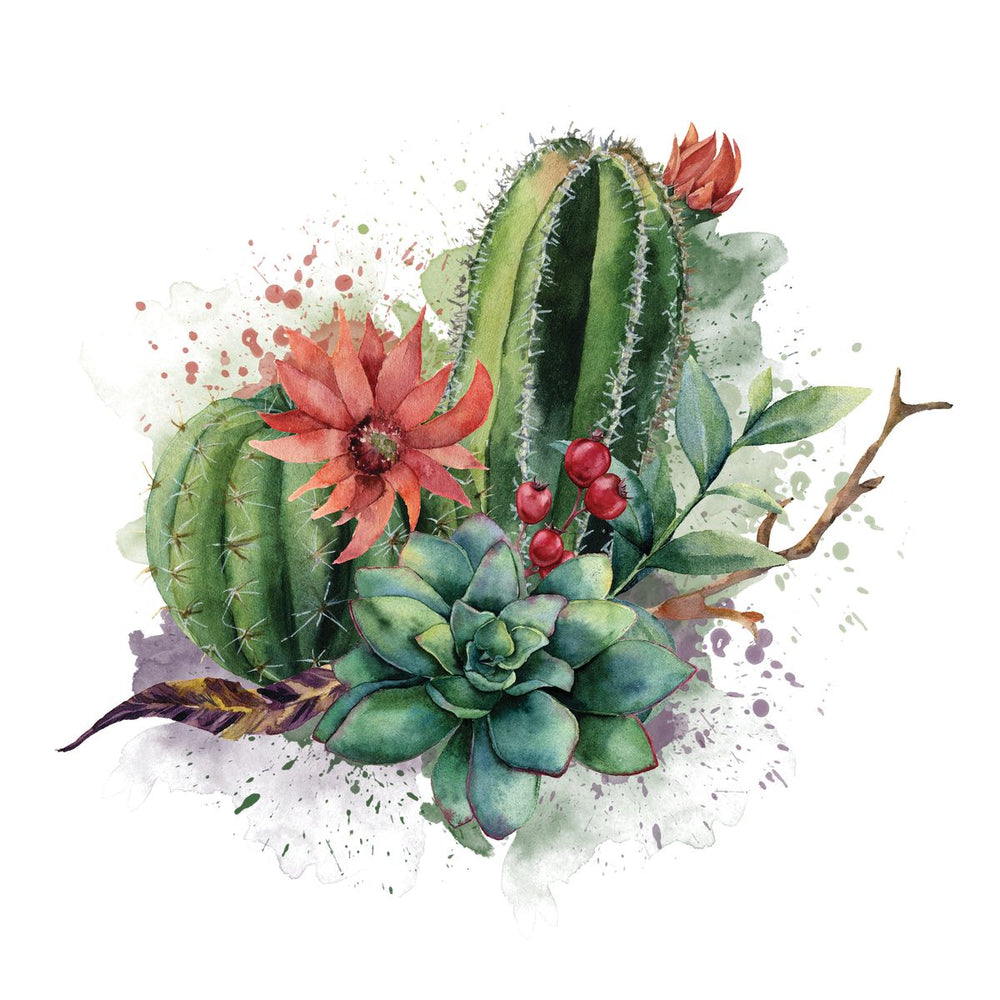 Succulent And Cactus Splash