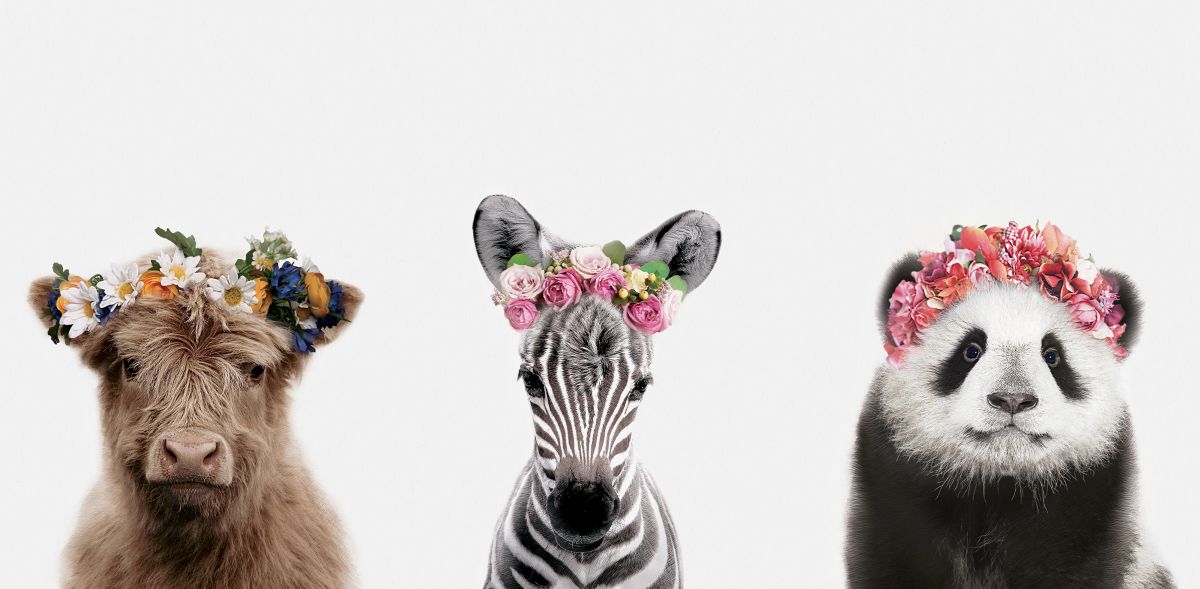 Flower Crown Animal Friends