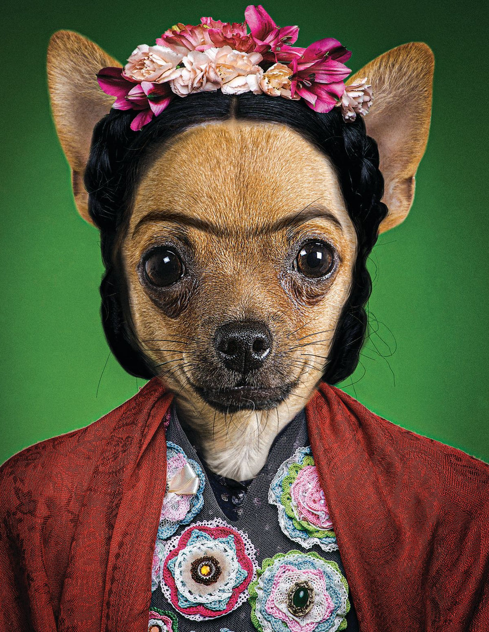Frida Dog