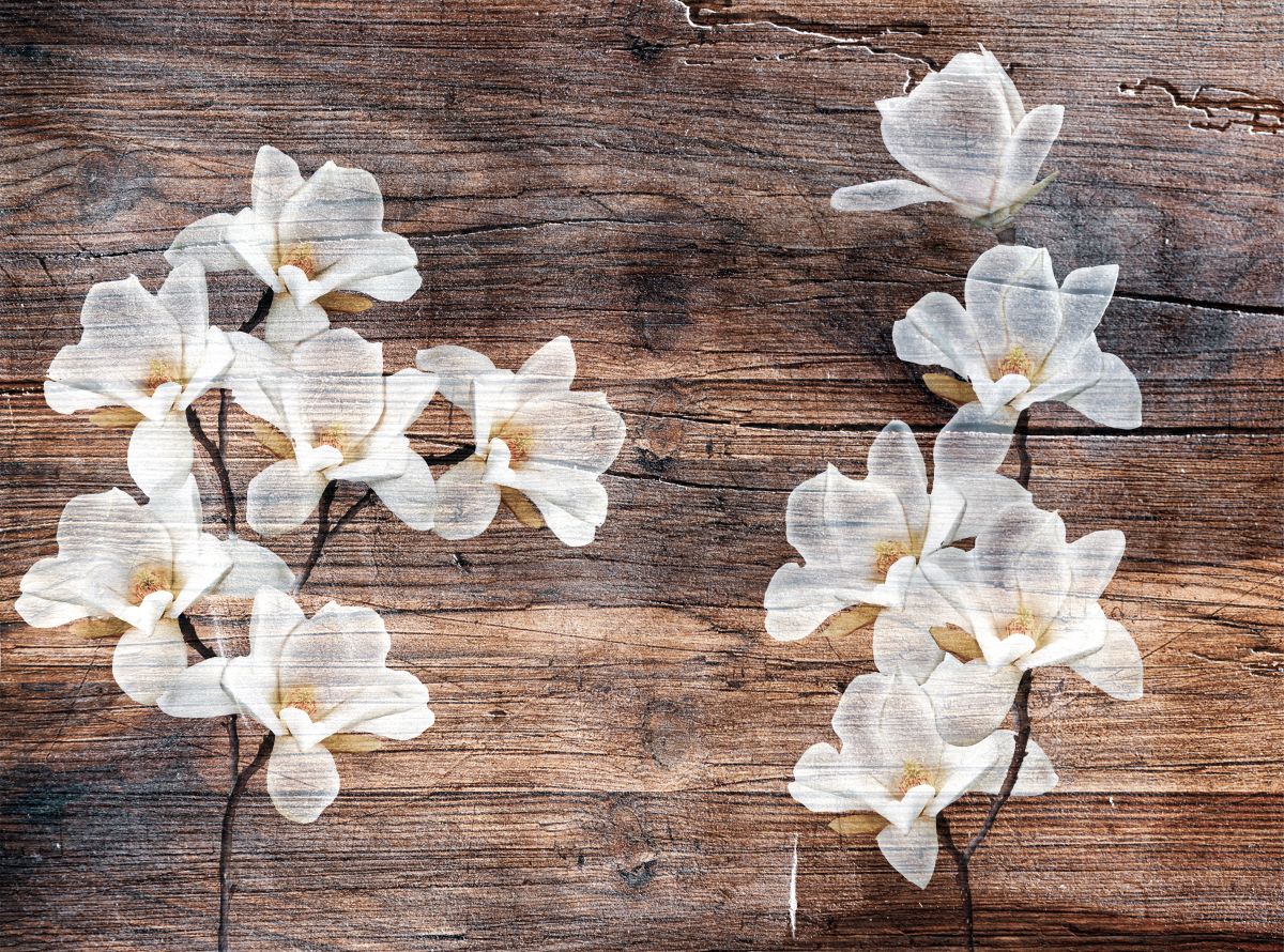 Magnolia On Wood