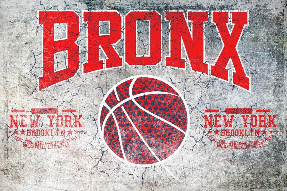 Bronx Basketball