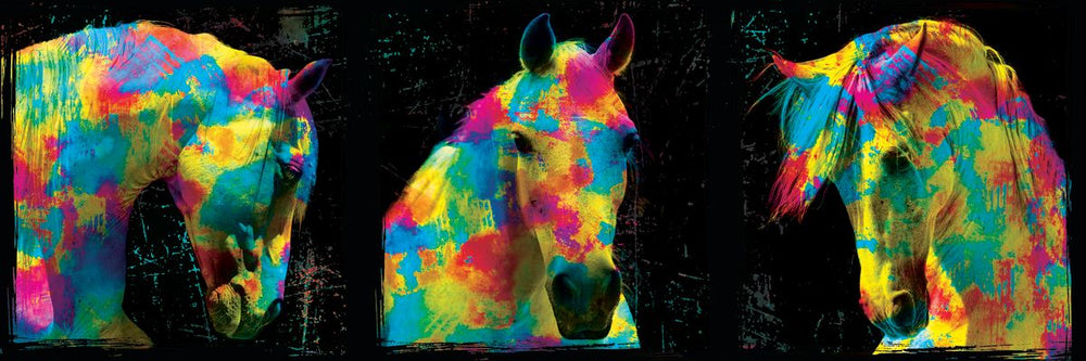 Colorful Stallions