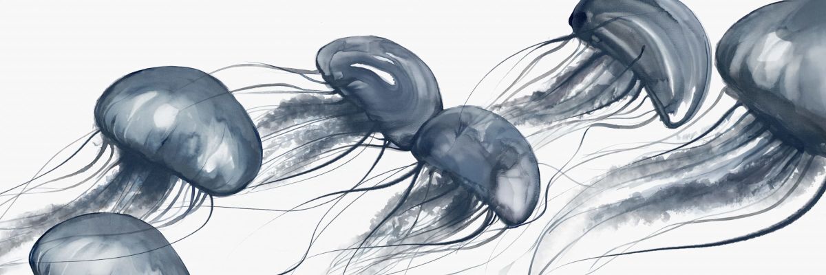 Drifting Jellyfish Wall Art