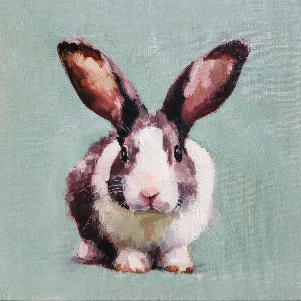 Dutch Rabbit on Teal Background