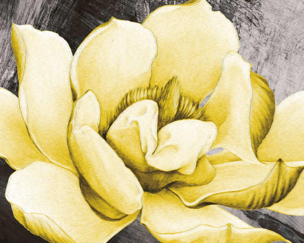 Yellow Magnolia