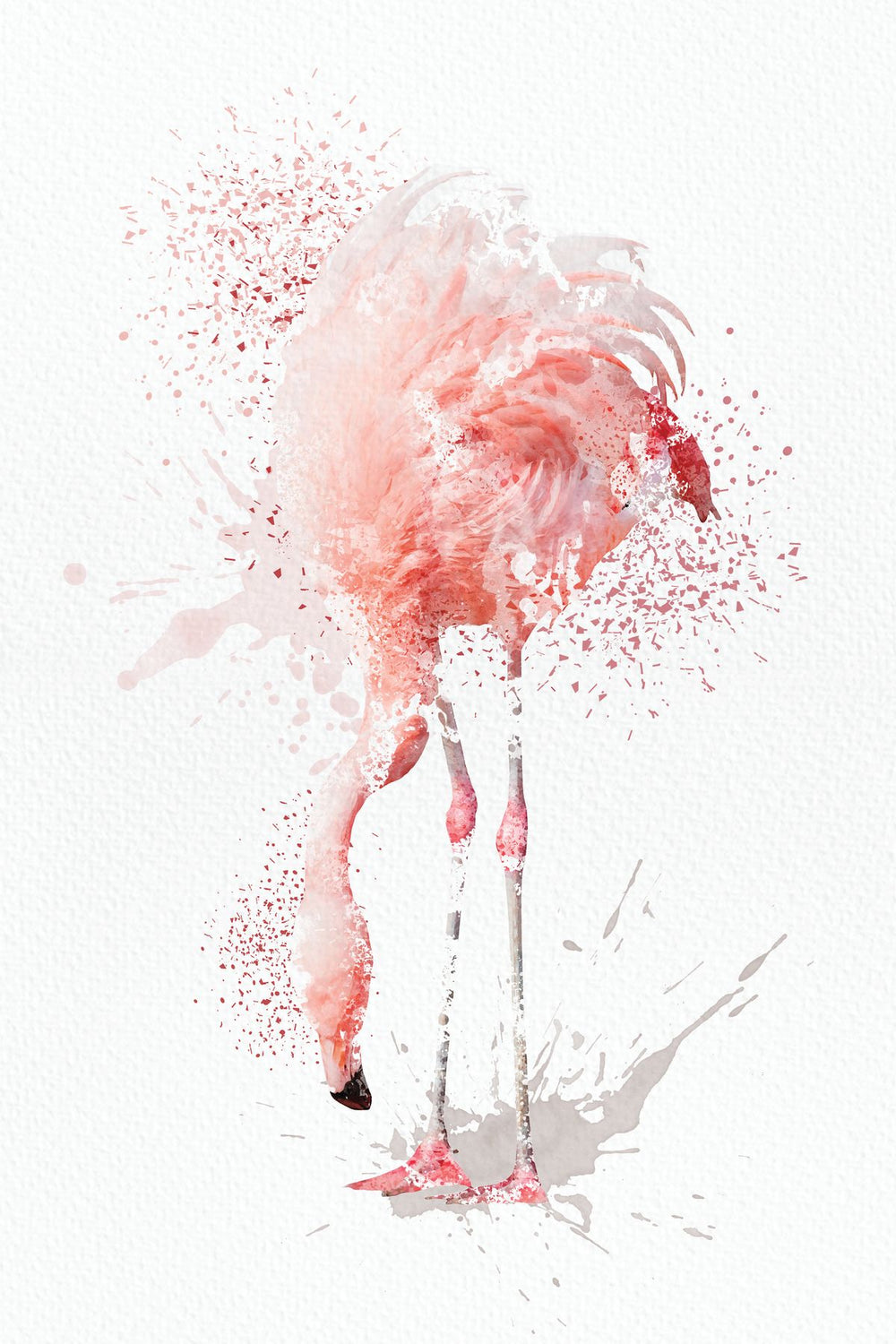 Crouched Flamingo Watercolor Splash