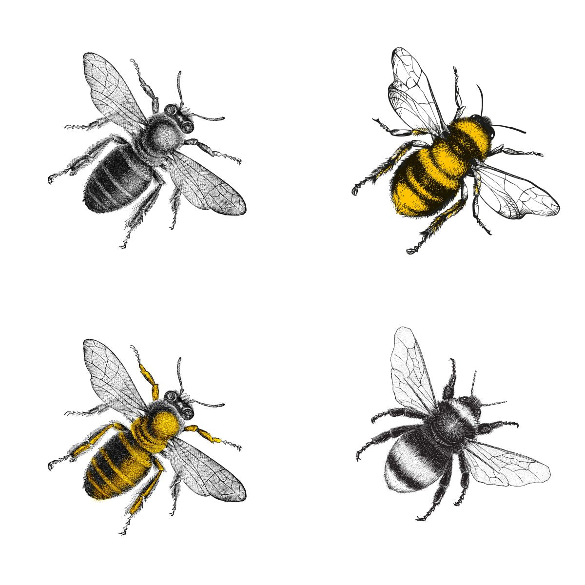 Four Bees