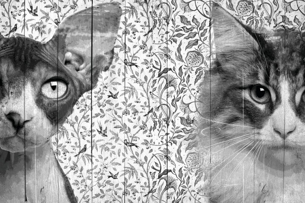 Floral Cats Black And White
