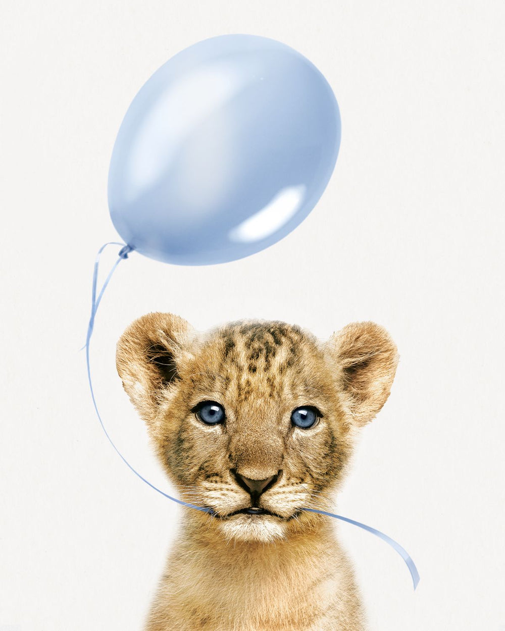 Lion And Blue Balloon