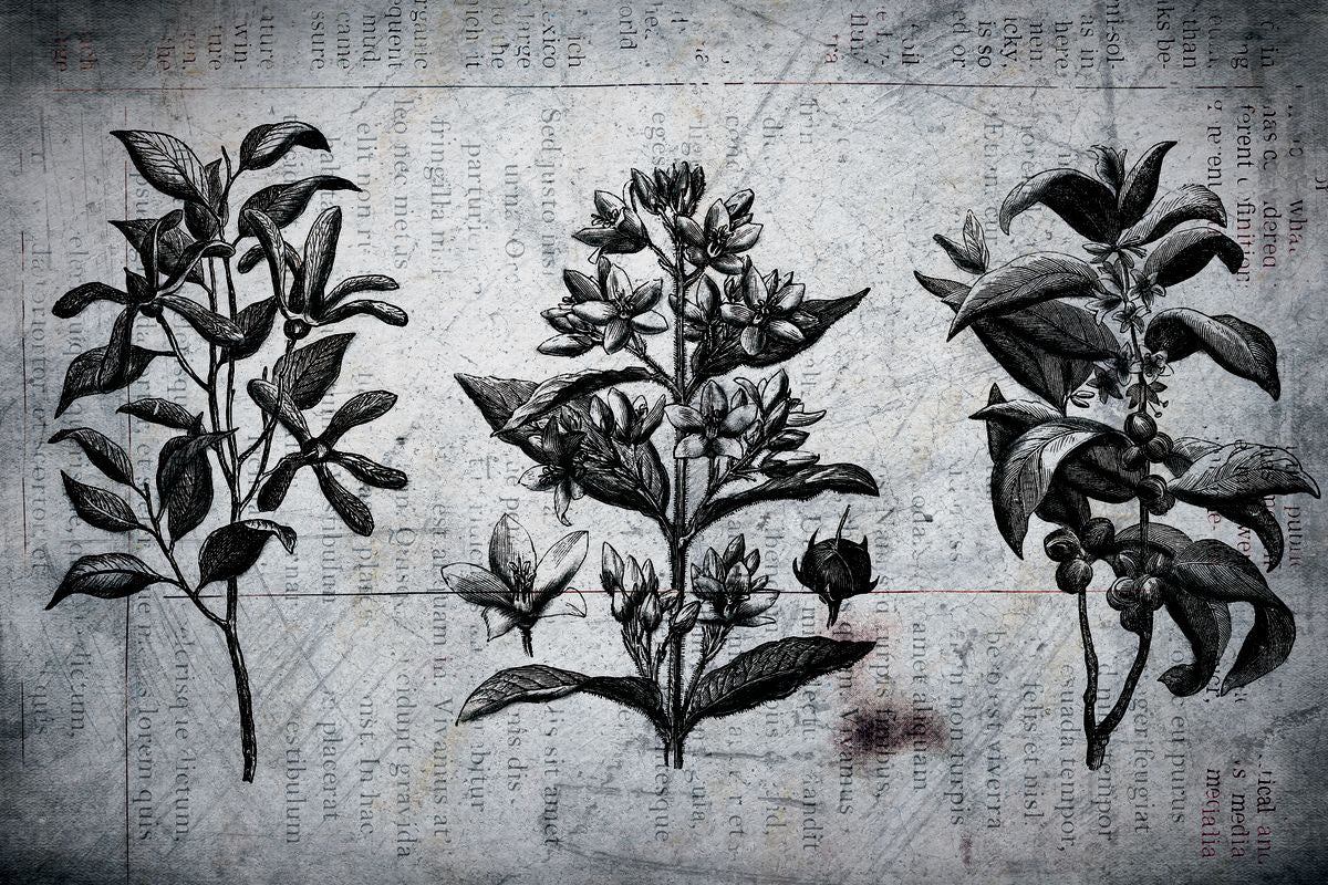 Newsprint Flower Trio