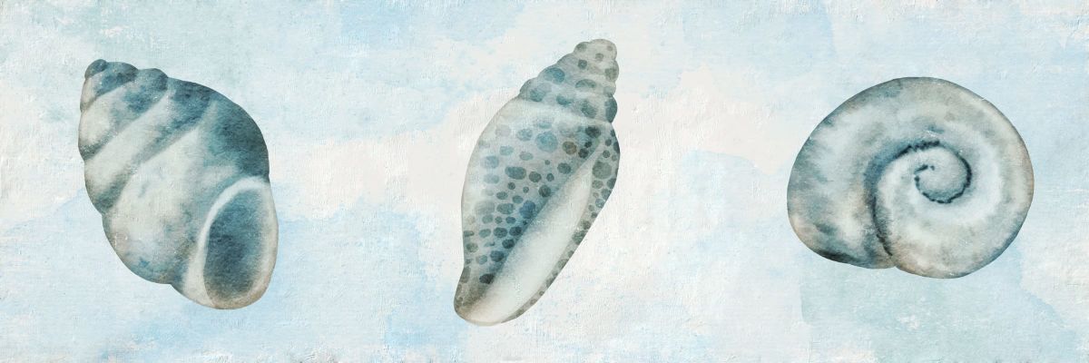 Shell Trios V Wall Art