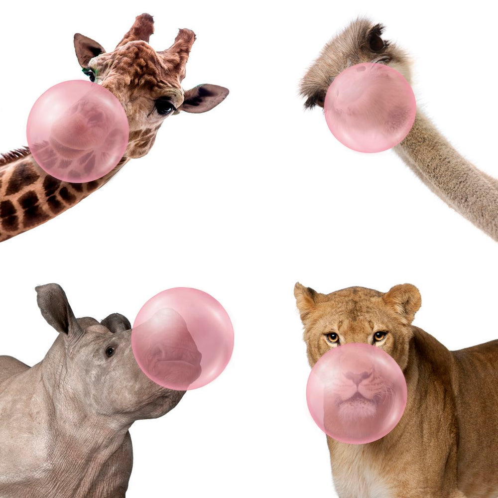 Wildlife Bubble Gum