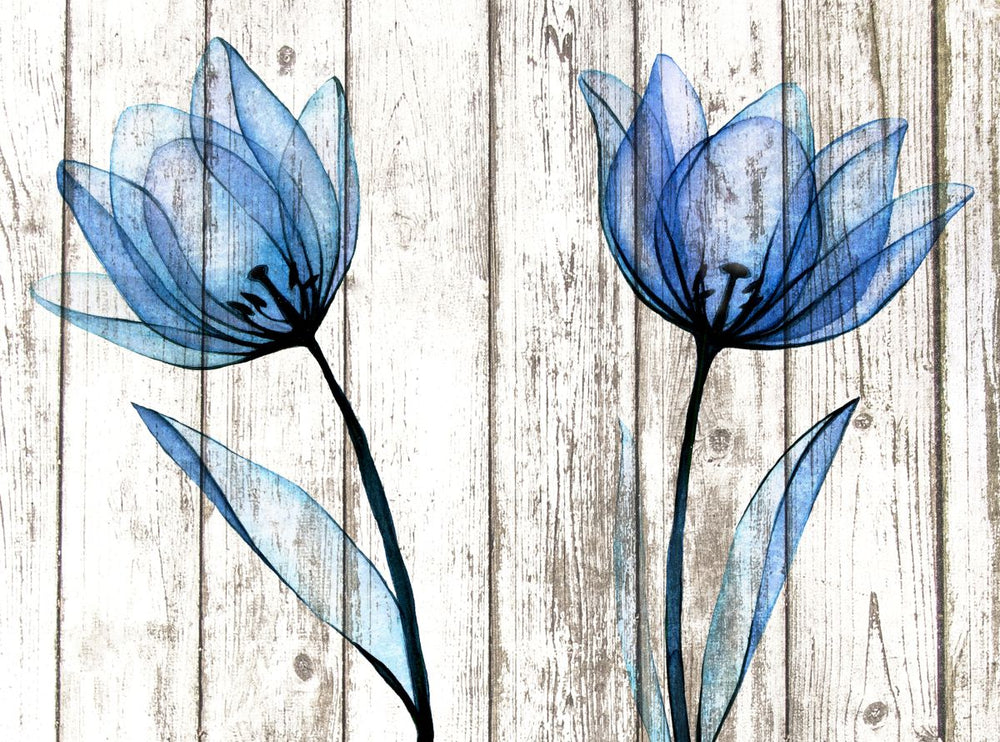 Blue Tulips On Wood