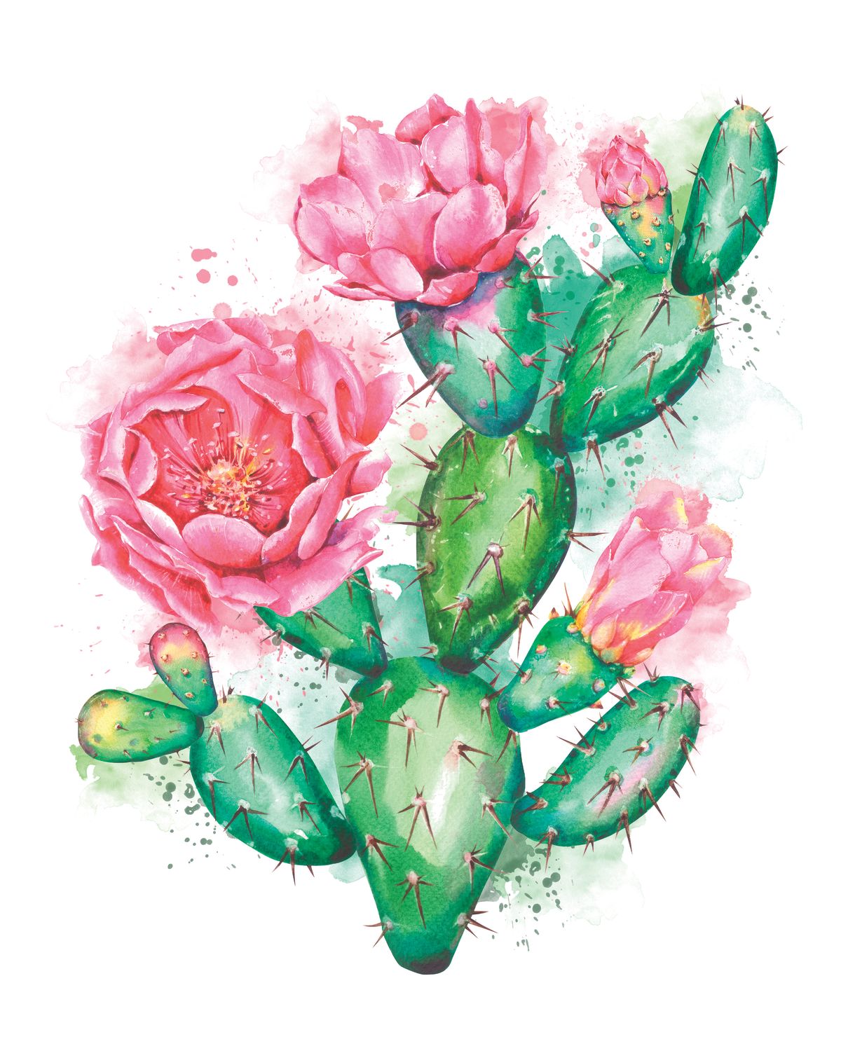 Prickly Pear Cactus Splash