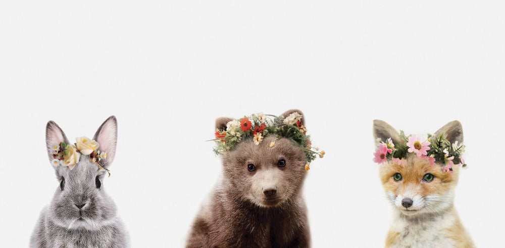 Floral Crown Cute Animals