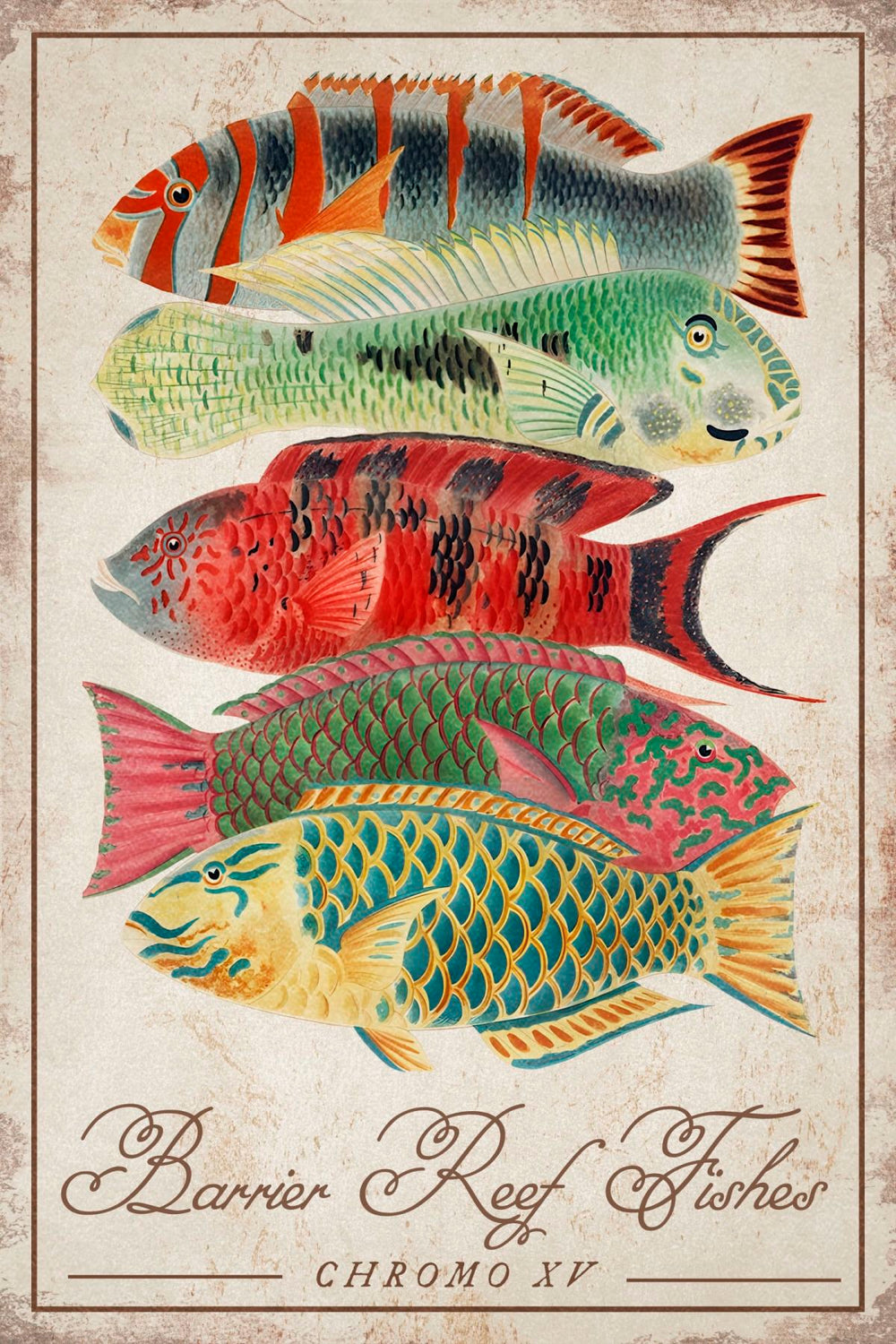 Barrier Reef Fishes - Chromo XV Wall Art