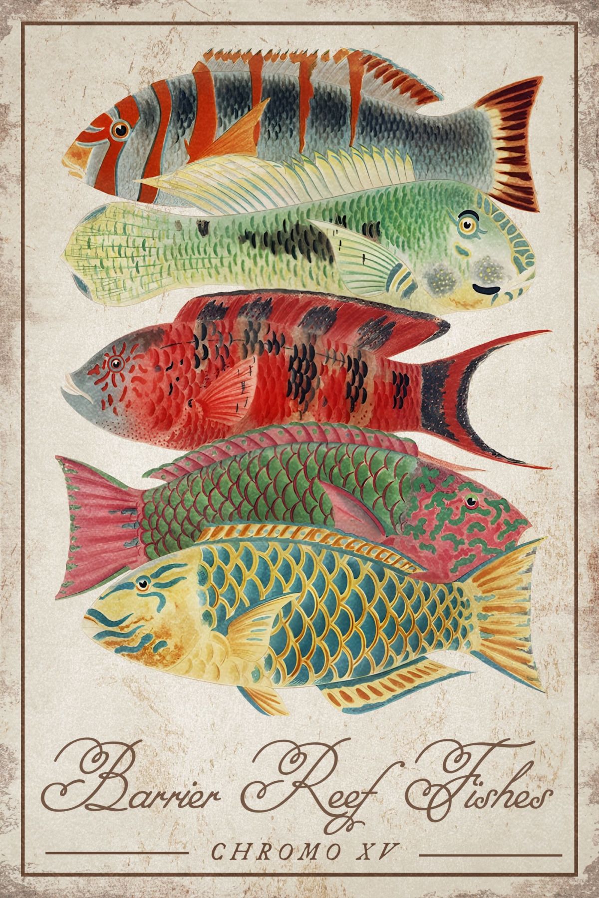 Barrier Reef Fishes - Chromo XV Wall Art