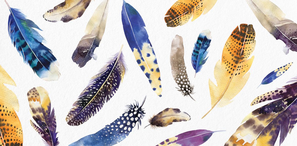 Feather Variants