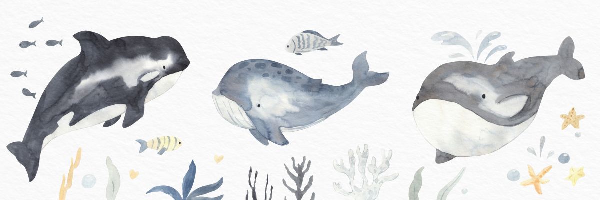 Nursery Whales