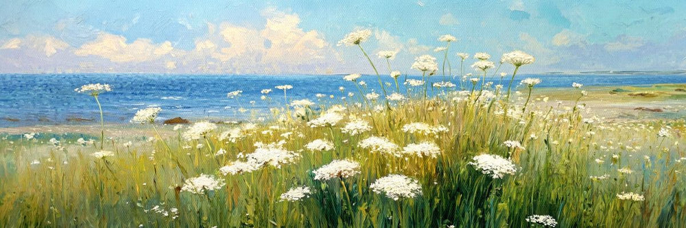Queen Anne's Lace by the Seaside